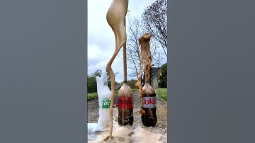 Popular Coke Sodas Vs Mentos 61 #satisfying #experiment #asmr