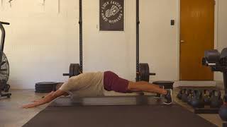 Long Lever Plank Hold