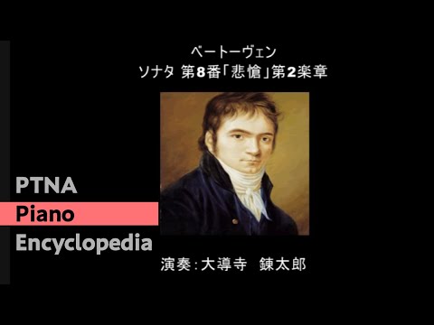 鳴り響く思想 現代のベートーヴェン像 鳴り響く思想 : 現代のベートーヴェン像(大宮眞琴, 谷村晃, 前田