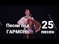 Песни под гармонь в Усть-Куломе | Владимир Трошев и Генрих Немчинов