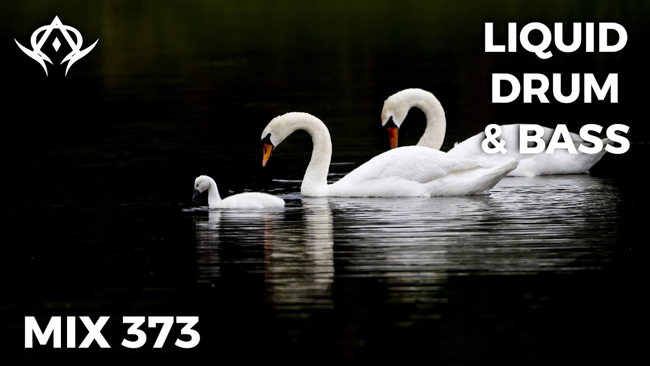 Liquid Drum and Bass Mix 373