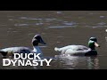 Duck Dynasty: Duck Decoy Battle (Season 8, Episode 3) | A&E Duck Dynasty: Duck Decoy Battle (Season 8, Episode 3) | A&E