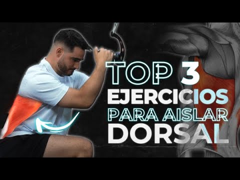 DIARIO DE ENTRENAMIENTO  TRAINOLOGYM - Trainologym