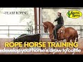 Develop your horses draw to cattle