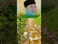 4 Keutamaan Orang Yang Pandai Memaafkan