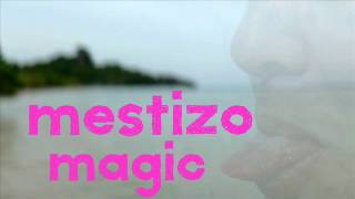 Mestizo Magic - Dance All Night ft. LeLe