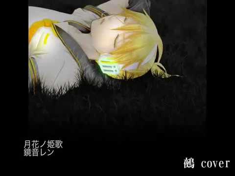 【歌ってみた】月花ノ姫歌【鵺】cover