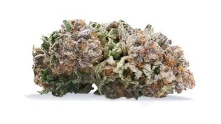 Dirty Banana weed strain
