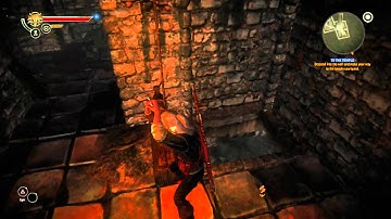 The Witcher 2 Glitch/Bug Rage Quit!