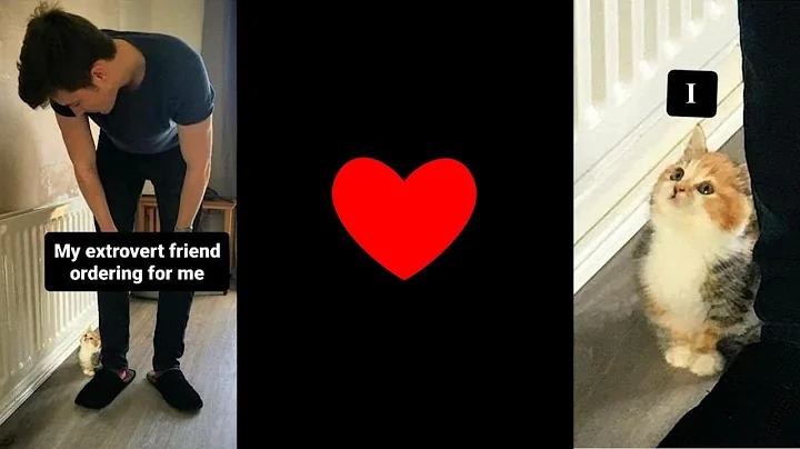 Funniest introvert memes around – Episode 8