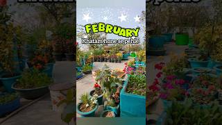 Only February Guide You Need 🪴 #terracegarden #terracegardenindia #february #gardening #ytshorts
