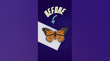 Shatter effect| Canva editing| Before and after shatter| GrowUpDiary