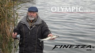 :  .   Graphiteleader Finezza GLFS -7112ML -T 2019.   