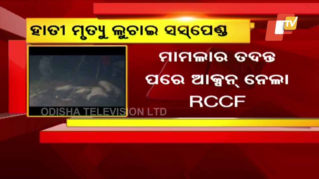 Odisha Forest Ranger Suspended For Secretly Burying Dead Tusker With Gunshot Wounds