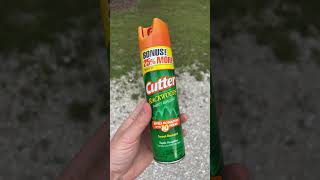 Bugs Vs Deet  Which Is Worse For You 
