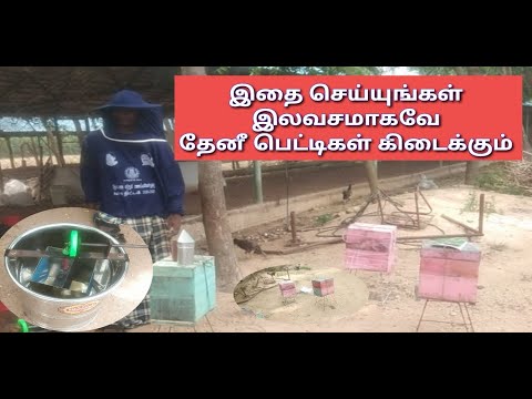 இலவசமாகவே தேனீ பெட்டிகள் கிடைக்கும்