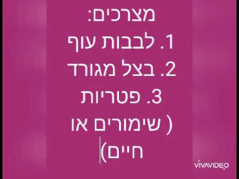 וִידֵאוֹ: לביבות עם עוף ופטריות