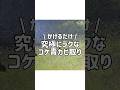 ただかけて放置!藻や青カビ、苔をラクに落とす方法!