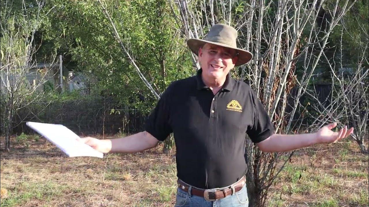 Ten Popular Fruit trees that are difficult or impossible to grow in