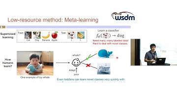 WSDM-23 Workshops: Low-resource Learning on Graphs