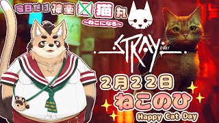 【Stray】ねこの日はねこになってしまうのにゃ！！！【神楽狸丸/Vtuber】