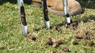 How To Do A Spring Lawn Renovation E3 Alleviating Compaction Aerating & Core Aeration