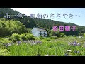 花一色 ~野菊のささやき~/松田聖子「Parallax 3D写真」