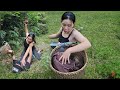 Single mother: into the forest alone to pick medicine and was attacked by a guy, a woodcutter.Treuvi