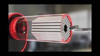 Famous Red Dog Universal Socket Wealth