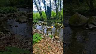 #natura #wild #cilento #escursioni