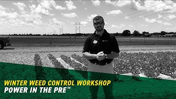 Power in the Pre™ | Beck