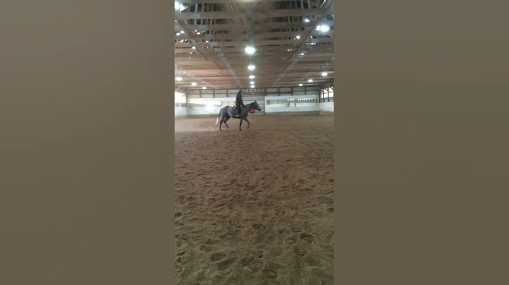 Linnae and Steel in a Carol Poulin Taylor lesson a...