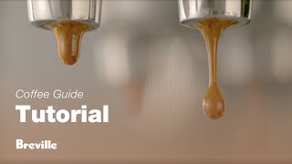 The Bambino® | A complete extraction guide for a perfectly balanced espresso | Breville AU