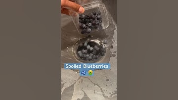Spoiled blueberries garbage disposal#GarbageDisposal#Garbage#FoodWaste#Food#foodshorts#Blueberries