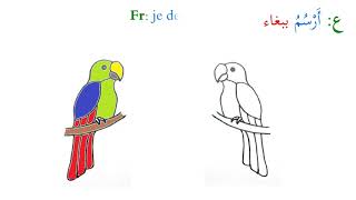 أرسم ببغاء