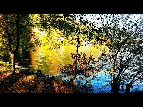 Prelude to Serenity - Renato Falerni