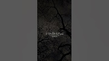 فقلت استغفروا ربكم انه كان غفارا 🪐🤎#ماهر_المعيقلي #سورة_نوح #quran #اكسبلور #تلاوة_خاشعة