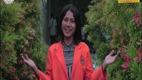 Universitas Nusa Nipa Indonesia