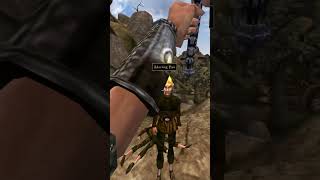 Killing the adoring fan in Morrowind every day until Skywind and Skyblivion are released Day - 965