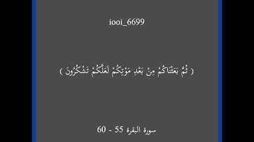 سورة البقرة 55 - 60🫀🎧