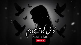 Afghan Song Kash Kabotar - کاش کبوتر میبودم هوش مصنوعی