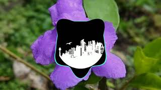 Pepe Frias Rita's Tune | video visualization by Herjuna Satriya