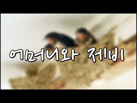 어머니와 <strong>제비</strong>? 5개월 전 돌아가신 어머님 살아생전 처마밑 제비집 보며 담소 나누던 영상 보니 어머님 생각이 나서 올려 옵니다. Mother and swallow?