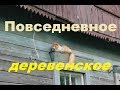 Повседневное деревенское: неизвестная поклонница/дела/Рыжик.