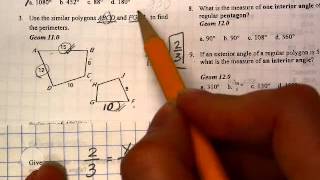 Celebrity Ch 8 Review I - 3 Similar Polygons Wealth