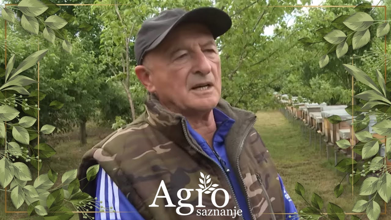 Mićunović iz katunske nahije /uzgoj koka nosilja i sušenje pršuta - AGROSAZNANJE