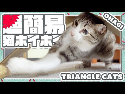 超簡易猫ホイホイ