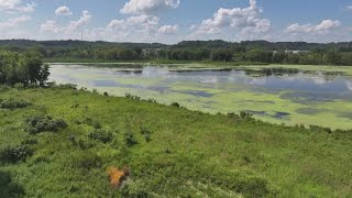 College student researches water quality at Nahant Marsh