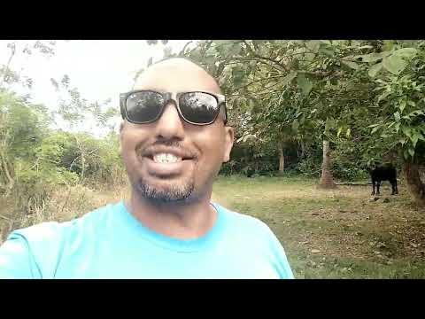 الطريقة الصحيحة للإستقدام من الفلبين