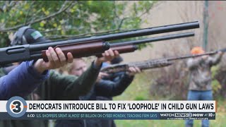 Democrats seek to fix 'loophole' in Wisconsin's child gun laws following Rittenhouse acquittal